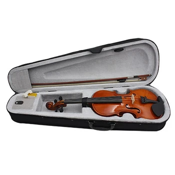 Дървена цигулка: Цигулка За Популяризиране на масивна Дървесина, Цигулка За начинаещи Лекари