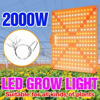 Led фитолампа за растенията, пълна гама от светодиодни осветителни тела за отглеждане на растения, хидропоника, фитолампы, оранжерия за разсад, цветя, палатка, кутия